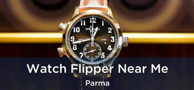  Watch Flipper Near Me Parma